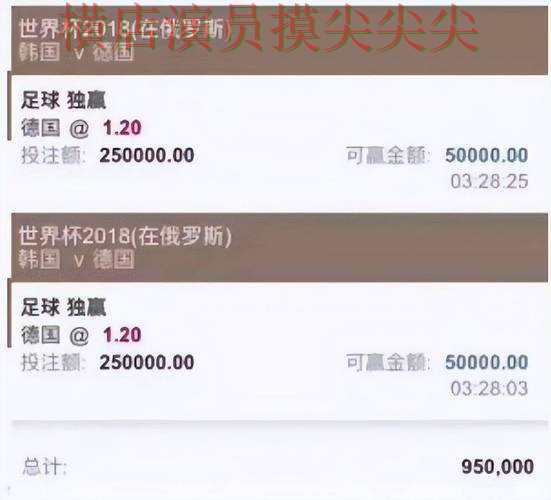新手必看：世界杯买球平台用户反馈+直播详解 + 世界杯官方信息