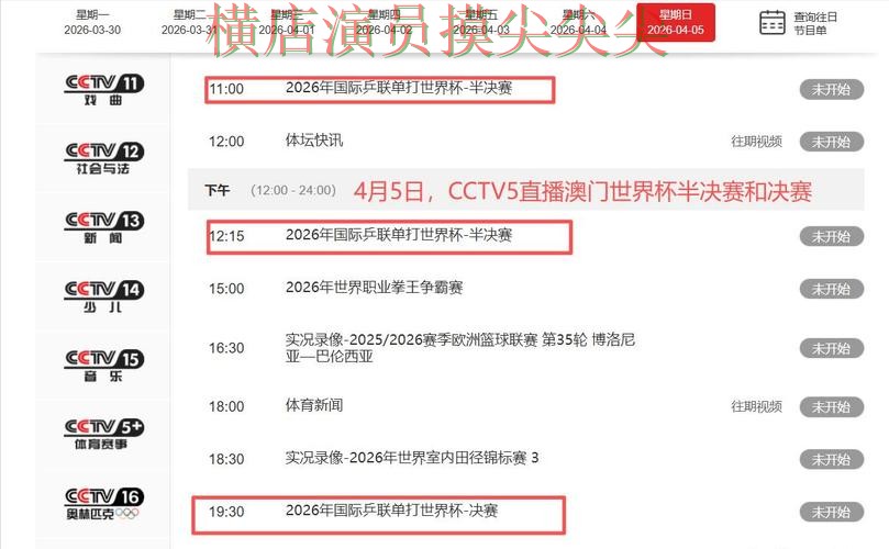 世界杯竞猜网站盘点合集：覆盖真实体验+直播与入口方式 - 世界杯直播