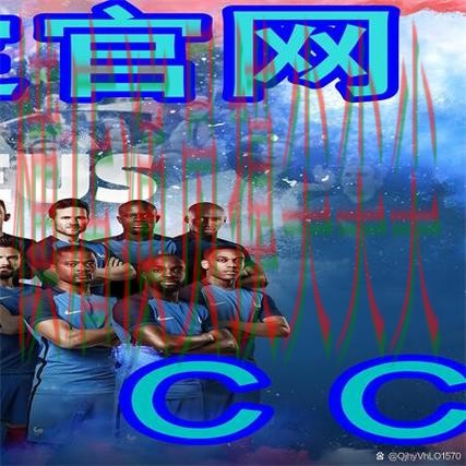 解析世界杯买球网站：从用户反馈到使用全流程解析 - 世界杯全球总决赛